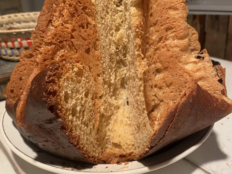 Cliquez pour zoomer ! Pandoro Thermomix par originebike
