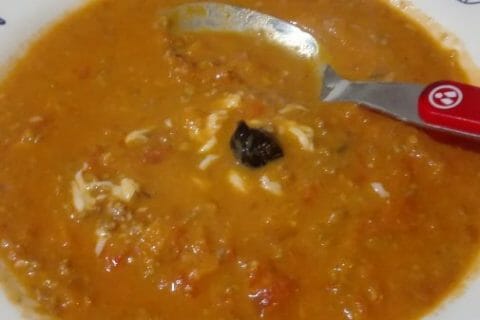 Cliquez pour zoomer ! La pizza soupe Thermomix par originebike