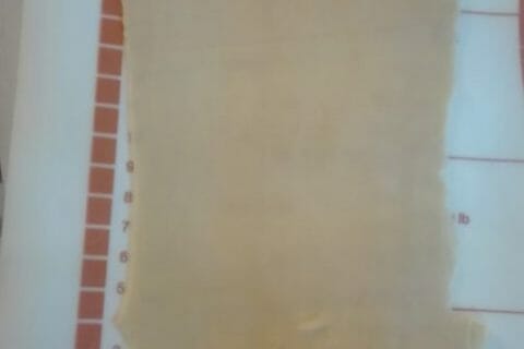 Cliquez pour zoomer ! Lasagnes à la bolognaise Thermomix par originebike