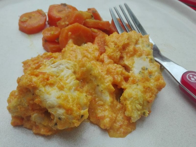 Cliquez pour zoomer ! Bouchées de poulet aux carottes Thermomix par originebike