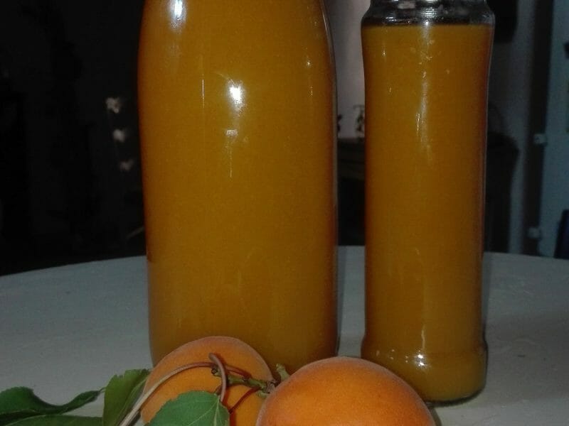 Cliquez pour zoomer ! Nectar d’abricot Thermomix par originebike