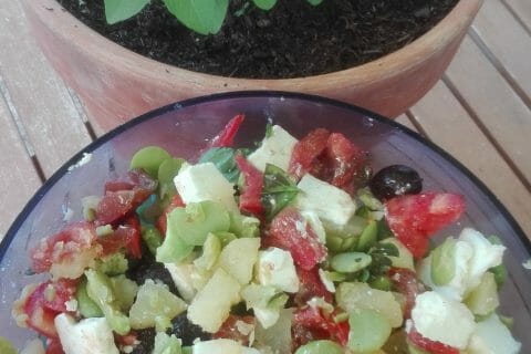 Photos des recettes