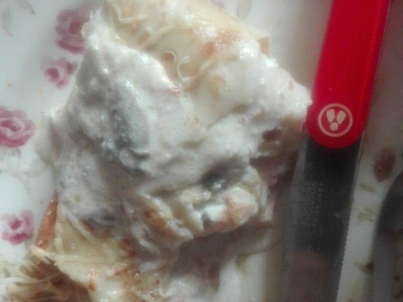 Cliquez pour zoomer ! Ficelles picardes Thermomix par originebike