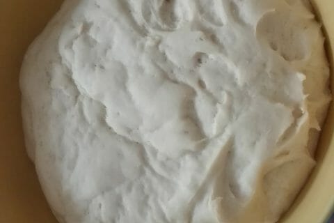 Cliquez pour zoomer ! Pizza au thon et aux olives Thermomix par originebike