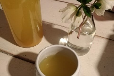 Cliquez pour zoomer ! Infusion citron, gingembre et miel Thermomix par originebike
