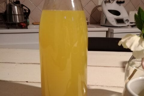 Cliquez pour zoomer ! Infusion citron, gingembre et miel Thermomix par originebike