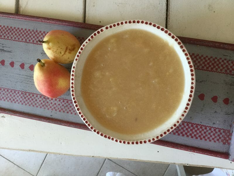 Compote Pomme Poire Au Thermomix Cookomix