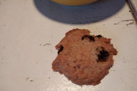 Cliquez pour zoomer ! Sablés aux raisins secs et au rhum Thermomix par originebike