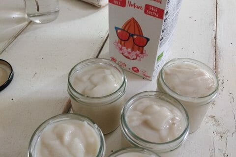 Cliquez pour zoomer ! Yaourt végétal au lait d’amandes Thermomix par originebike