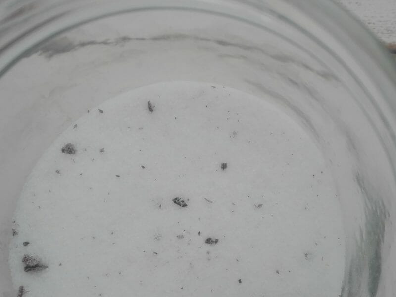 Cliquez pour zoomer ! Sucre vanillé Thermomix par originebike