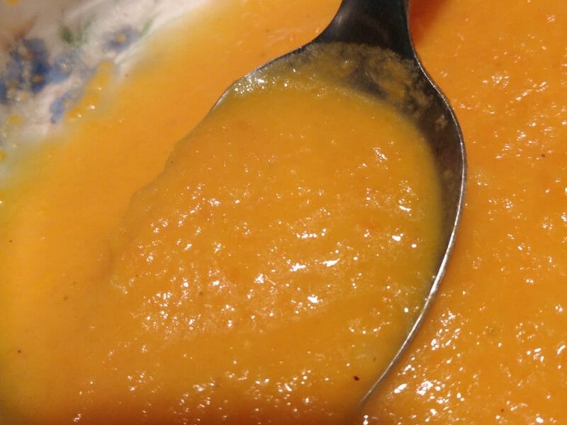 Cliquez pour zoomer ! Velouté de patates douces et carottes Thermomix par originebike