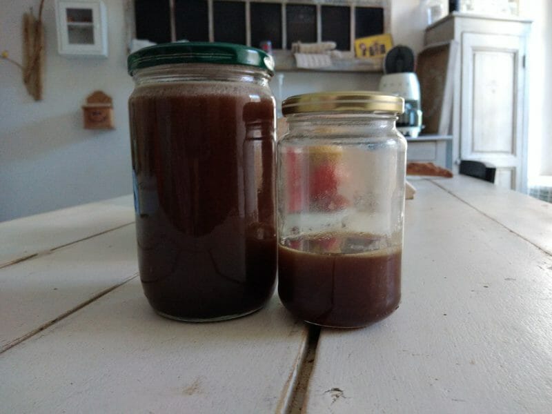 Cliquez pour zoomer ! Sucre inverti Thermomix par originebike