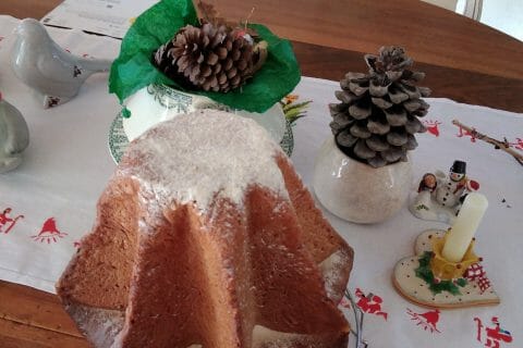 Cliquez pour zoomer ! Pandoro Thermomix par originebike