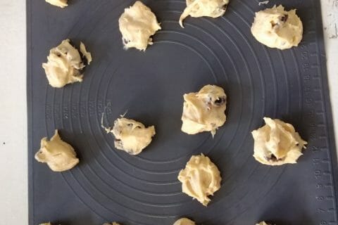 Cliquez pour zoomer ! Palets de Chambord Thermomix par originebike