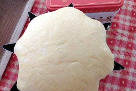 Cliquez pour zoomer ! Pandoro Thermomix par originebike