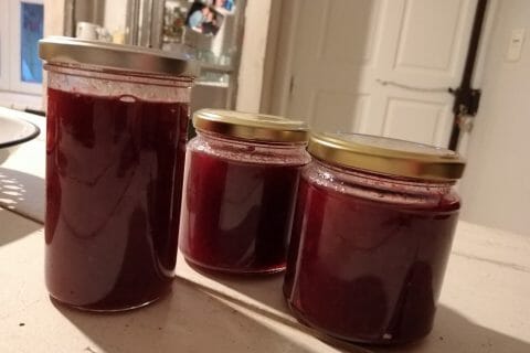 Cliquez pour zoomer ! Gelée de groseilles Thermomix par originebike