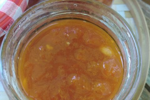 Cliquez pour zoomer ! Confiture d’abricots Thermomix par originebike