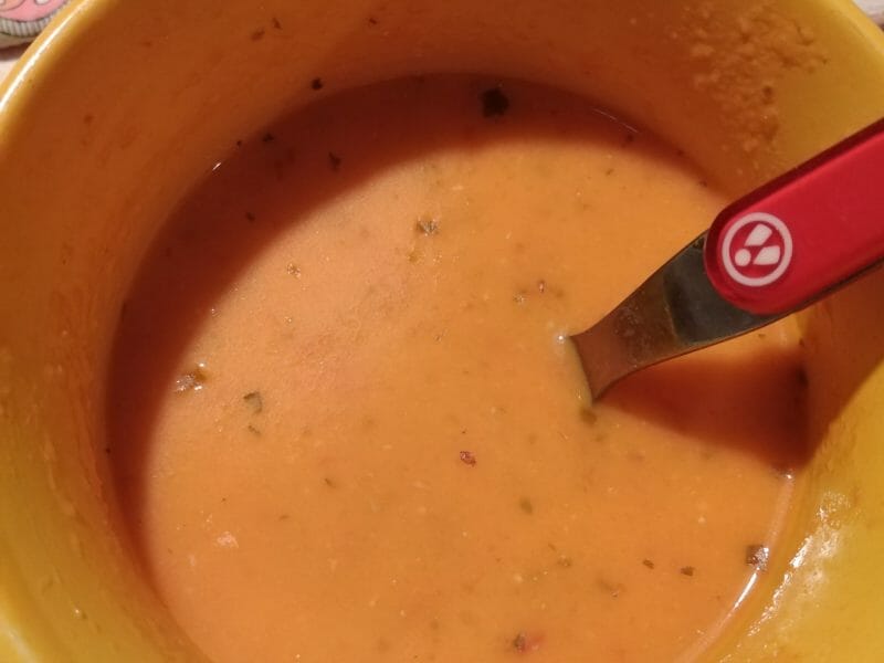 Cliquez pour zoomer ! Velouté de tomate Thermomix par originebike