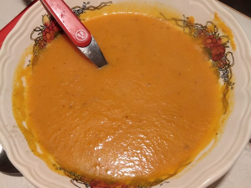 Cliquez pour zoomer ! Soupe de potimarron à l’orange et au gingembre Thermomix par originebike