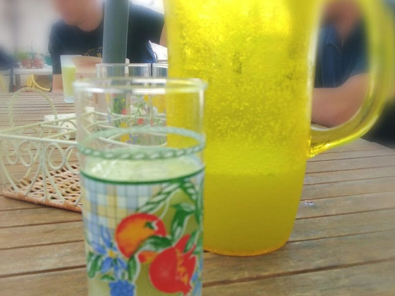 Cliquez pour zoomer ! Lemon mint Thermomix par originebike