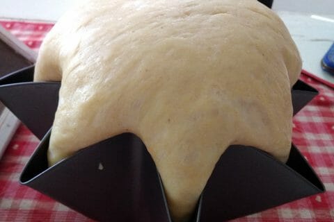 Cliquez pour zoomer ! Pandoro Thermomix par originebike