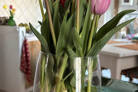 Cliquez pour zoomer ! Photo de originebike