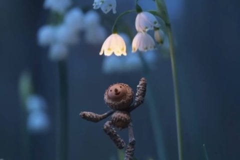 Cliquez pour zoomer ! Photo de originebike