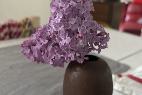 Cliquez pour zoomer ! Photo de originebike