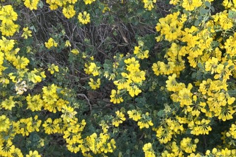 Cliquez pour zoomer ! Photo de originebike