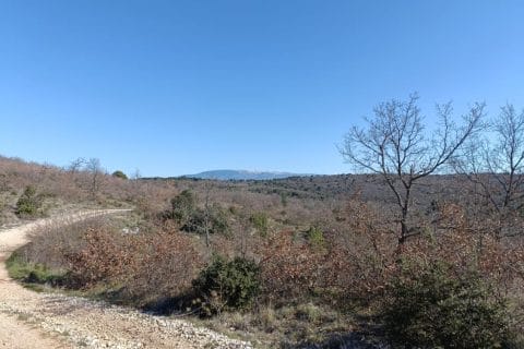 Cliquez pour zoomer ! Photo de originebike