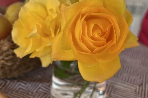 Cliquez pour zoomer ! Photo de originebike