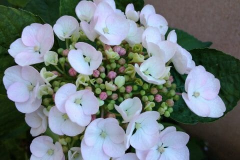 Cliquez pour zoomer ! Photo de originebike Thermomix par originebike