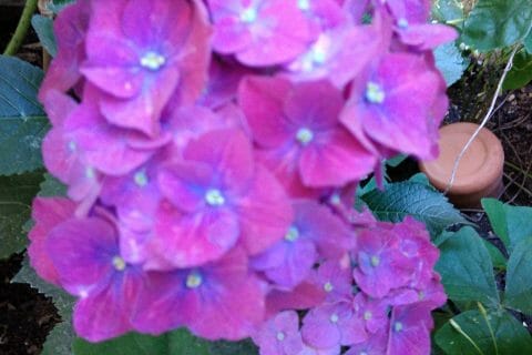 Cliquez pour zoomer ! Photo de originebike Thermomix par originebike