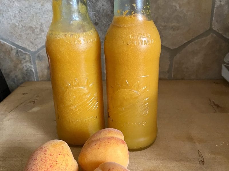 Cliquez pour zoomer ! Nectar d’abricot Thermomix par Candyella✨