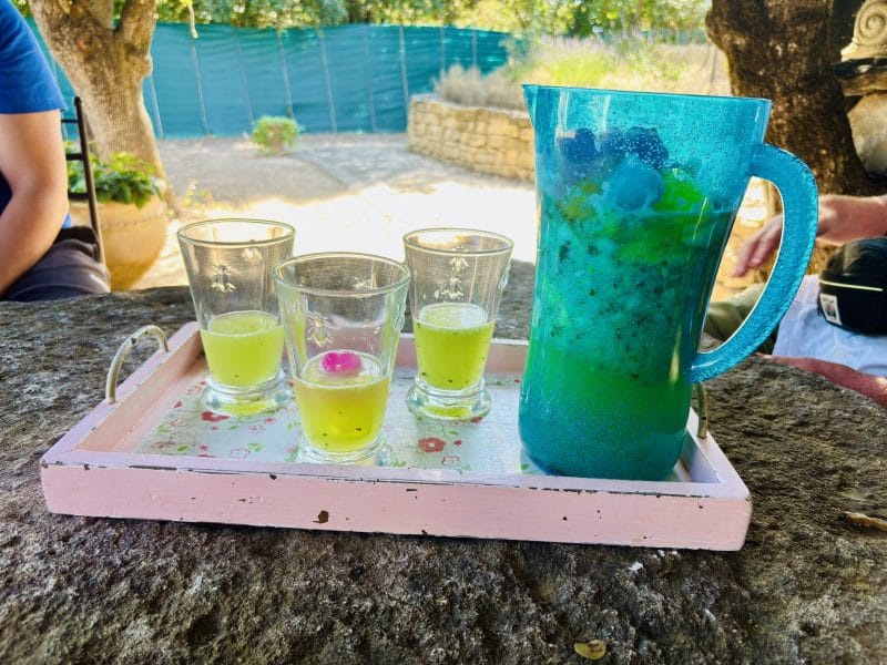 Cliquez pour zoomer ! Limonade au concombre Thermomix par Candyella✨