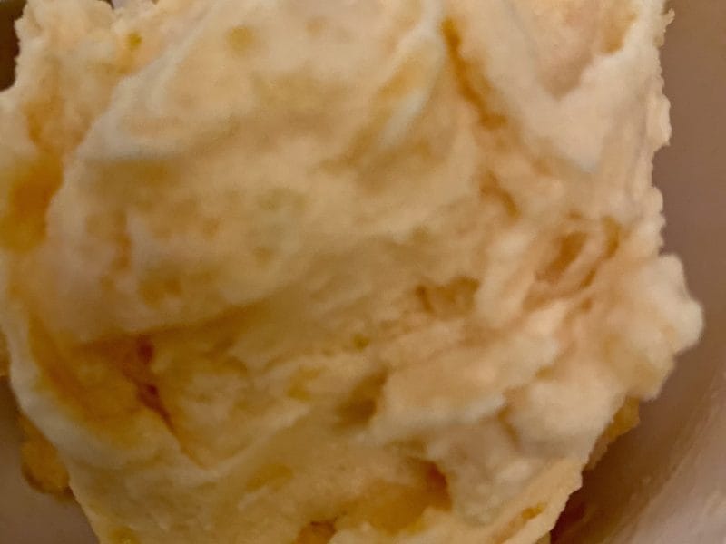 Cliquez pour zoomer ! Sorbet melon Thermomix par Candyella✨