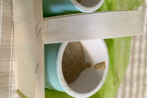 Photos des recettes