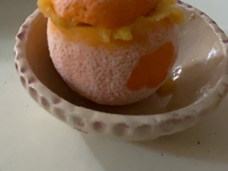 Cliquez pour zoomer ! Oranges givrées Thermomix par Candyella✨