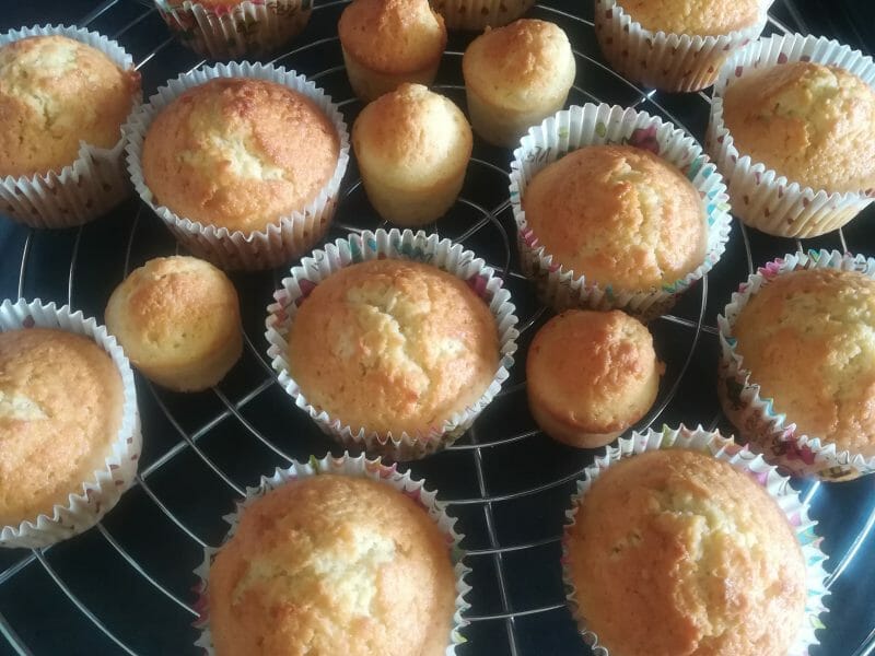 Cliquez pour zoomer ! Cake à la noix de coco Thermomix par PauLiToi