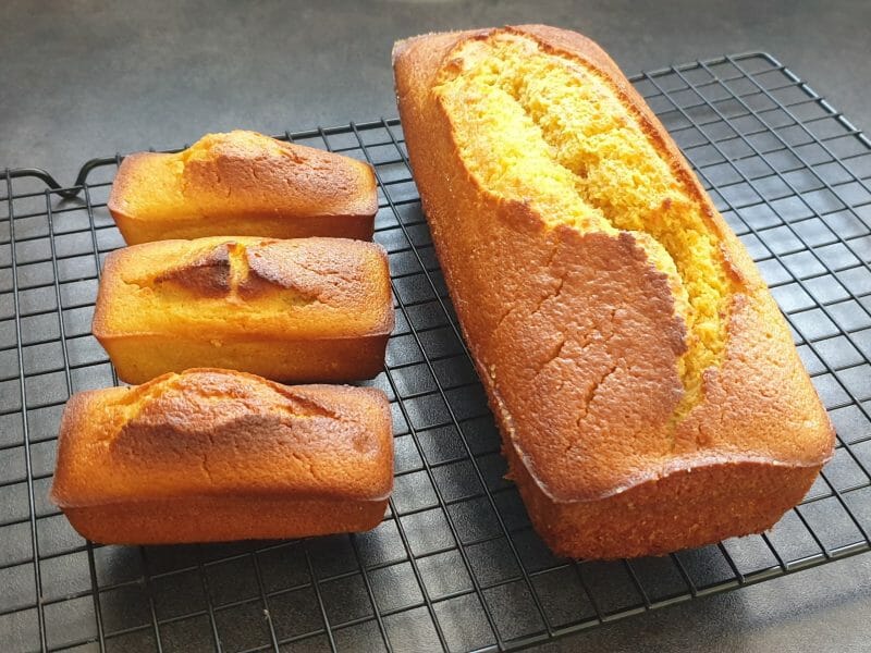 Cliquez pour zoomer ! Cake à l’orange sanguine Thermomix par virginie54