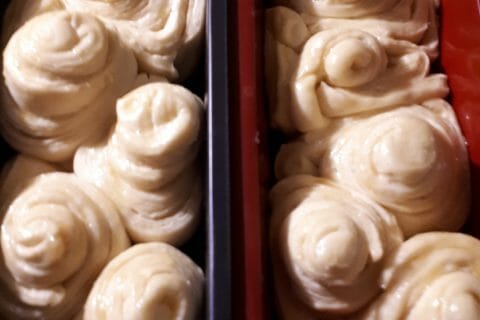 Cliquez pour zoomer ! Brioche Bouldouk au Thermomix
