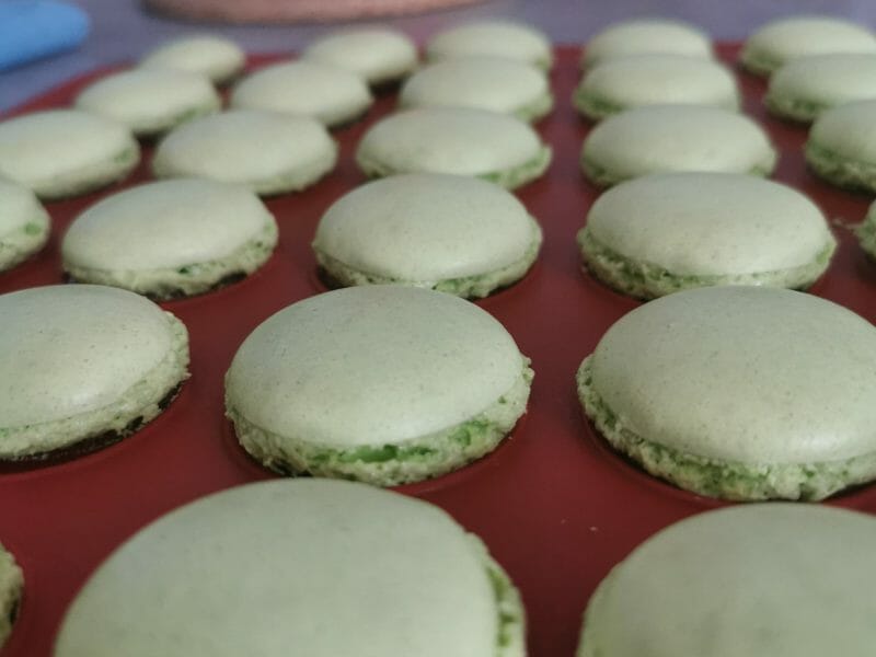 Cliquez pour zoomer ! Macarons Thermomix par lapetitedu042