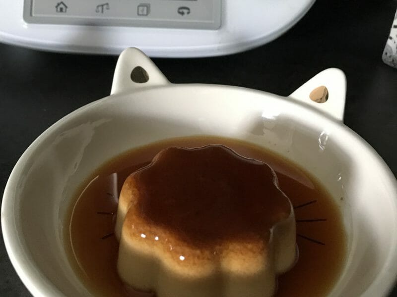 Cliquez pour zoomer ! Flamby Thermomix par criket