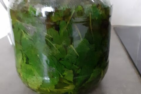 Cliquez pour zoomer ! Sirop de menthe Thermomix par lion