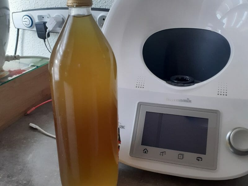 Cliquez pour zoomer ! Sirop de menthe Thermomix par lion