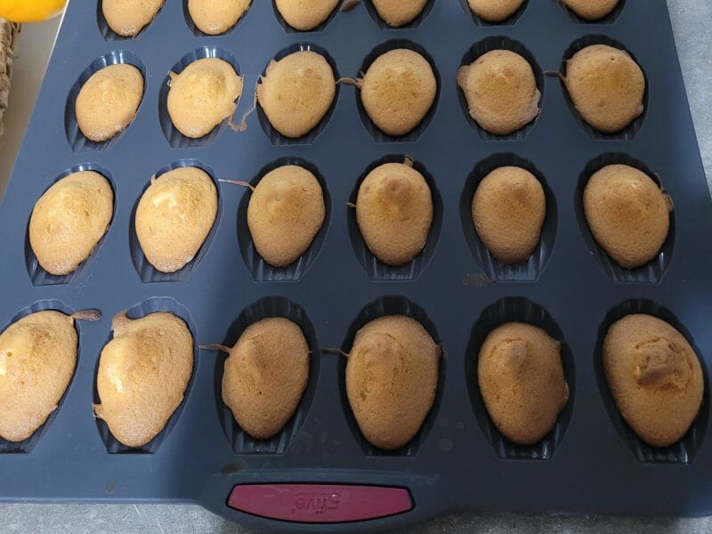 Cliquez pour zoomer ! Madeleines Thermomix par lion
