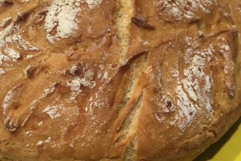 Photos des recettes