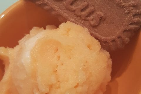 Cliquez pour zoomer ! Sorbet melon au Thermomix