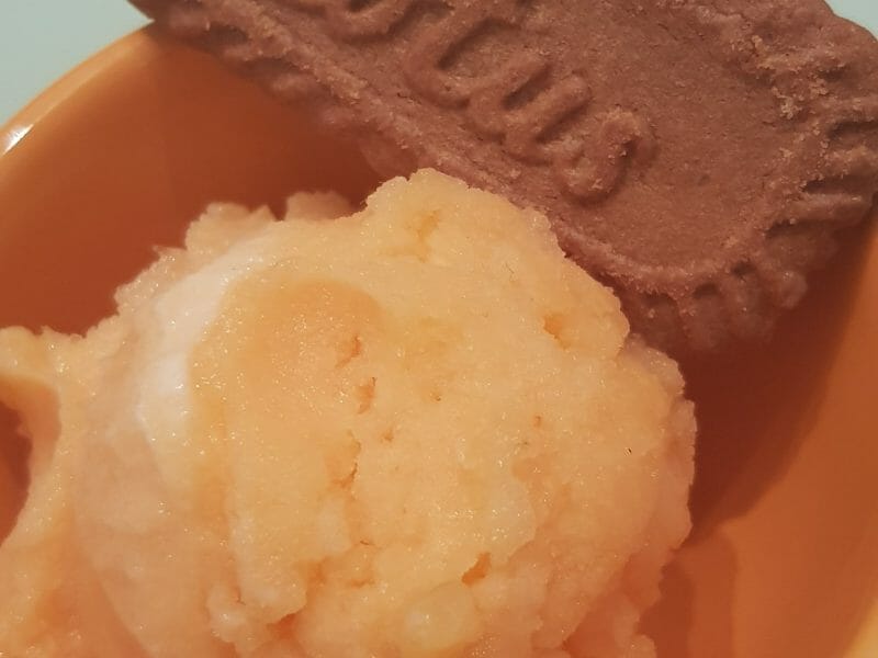 Sorbet melon au Thermomix Cookomix