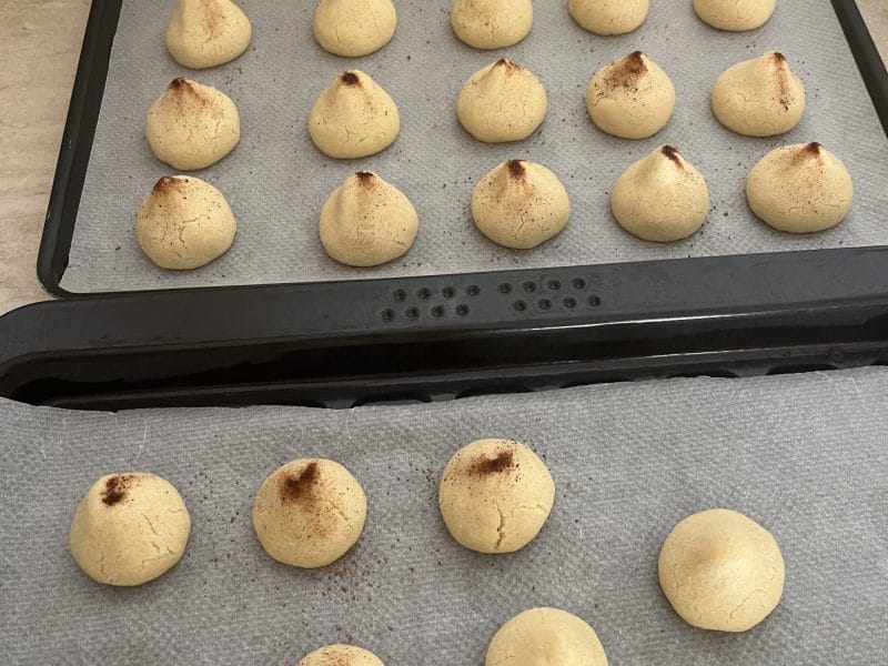 Cliquez pour zoomer ! Mantecados Thermomix par chris4